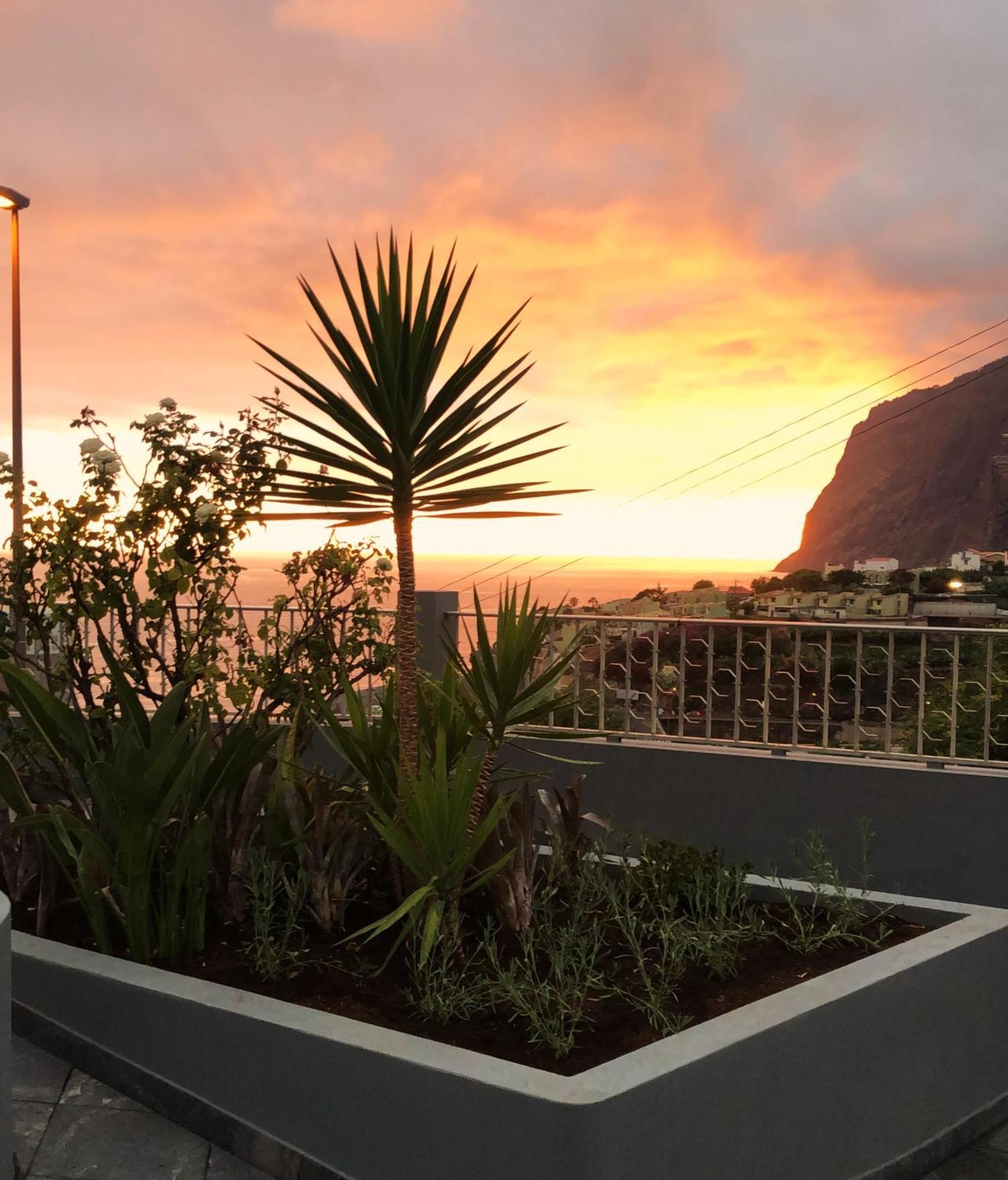 Oasis Suites - Funchal Exteriör bild